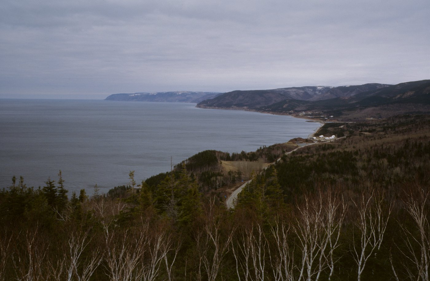 Bay